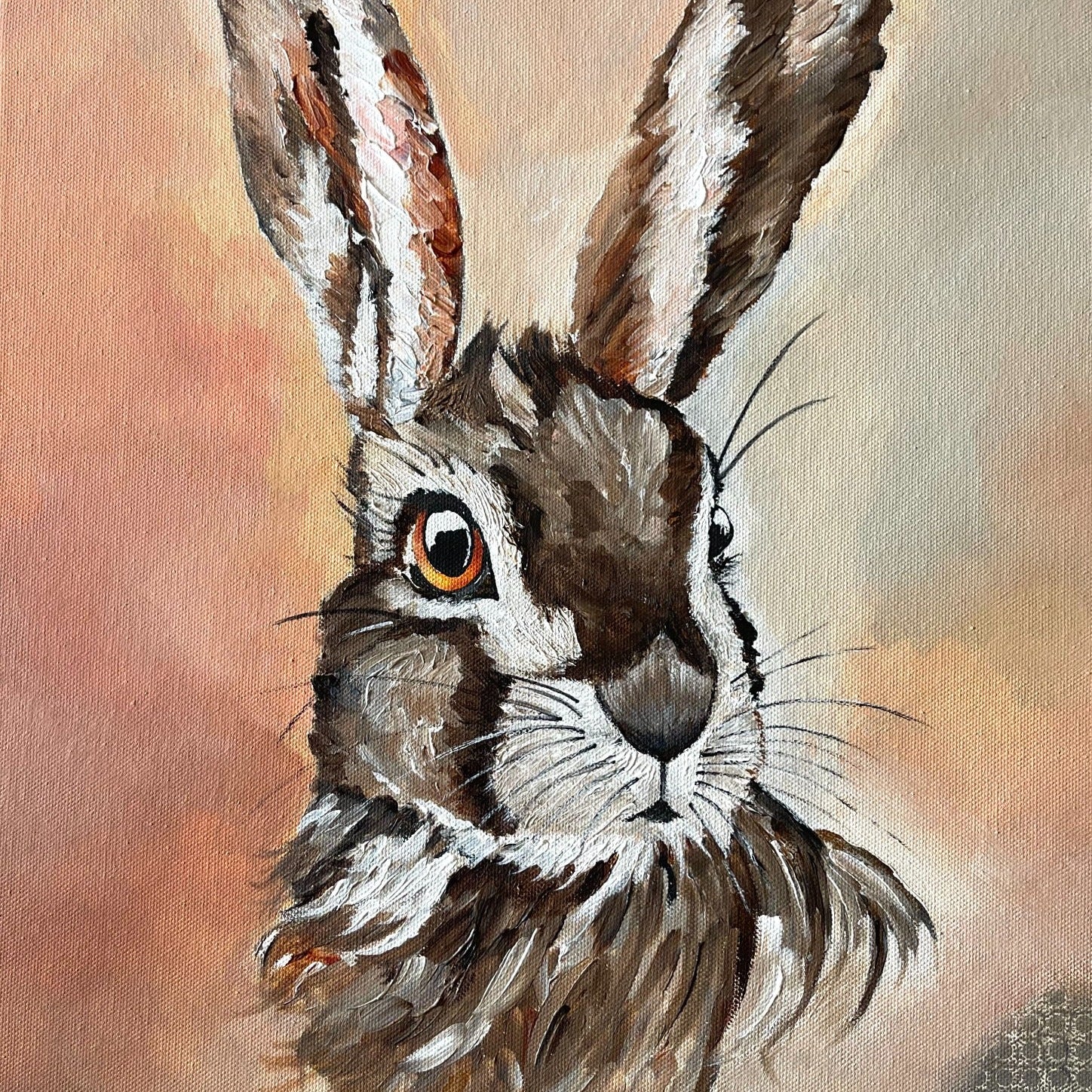 Rabbit
