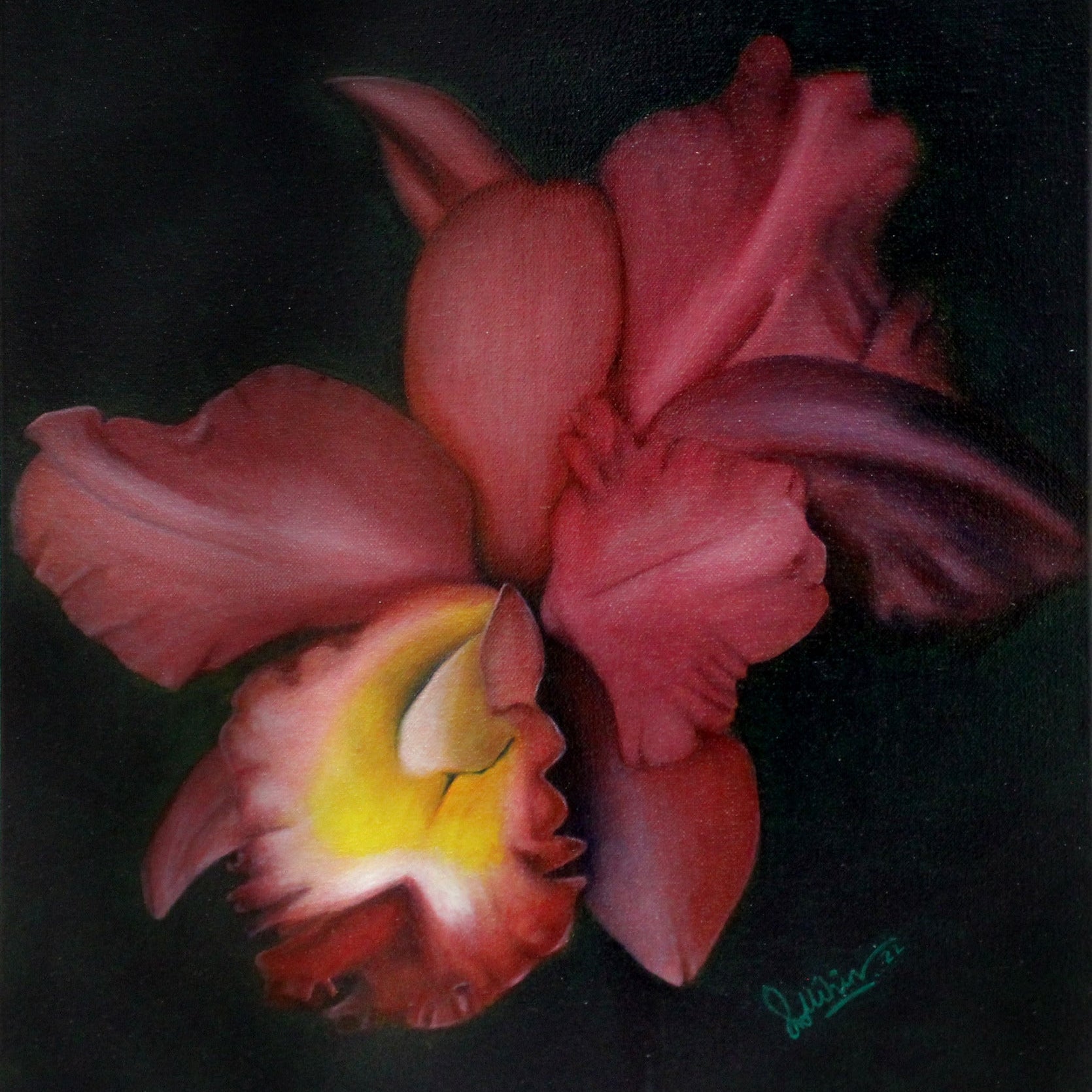 My Orchid
