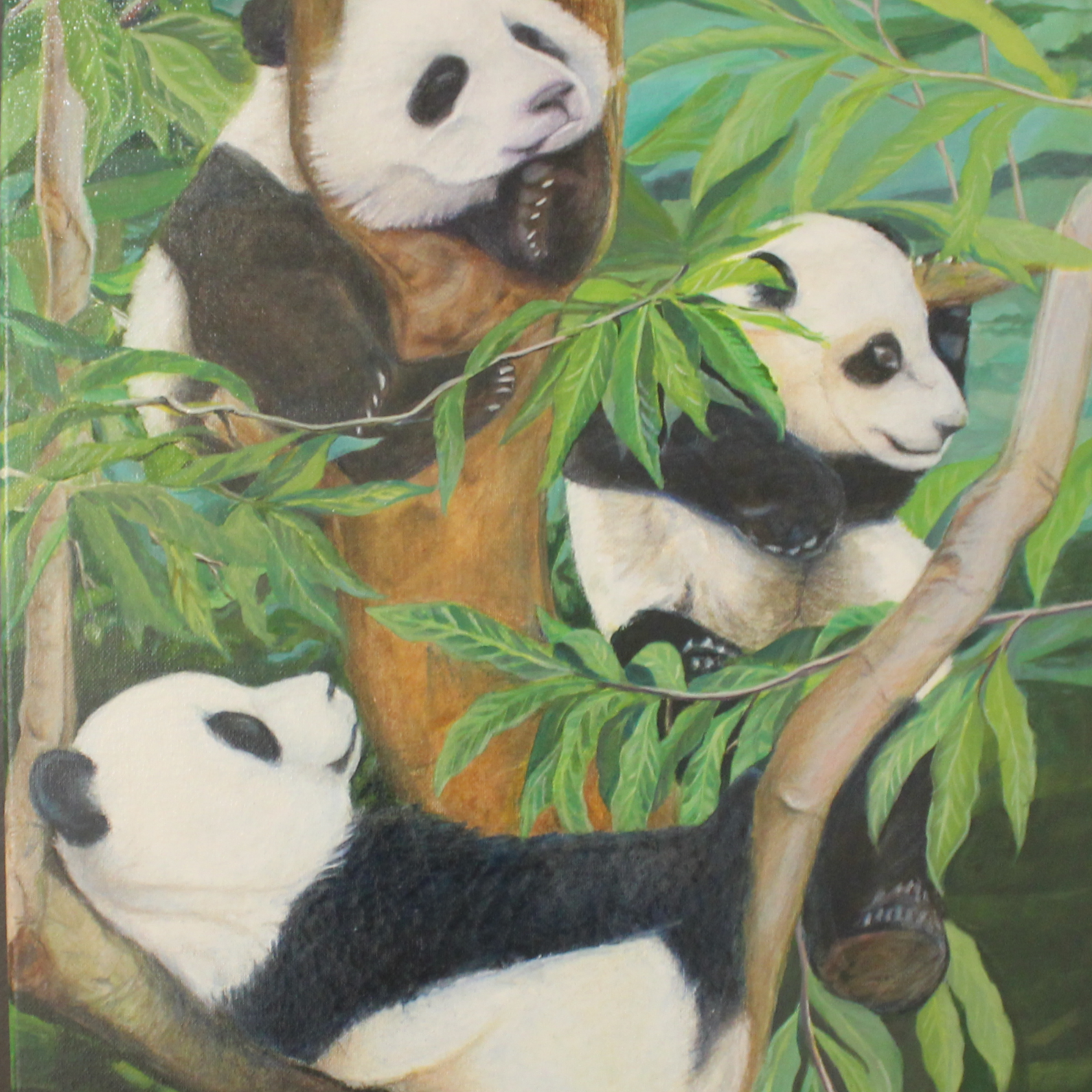 Lepak Pandas