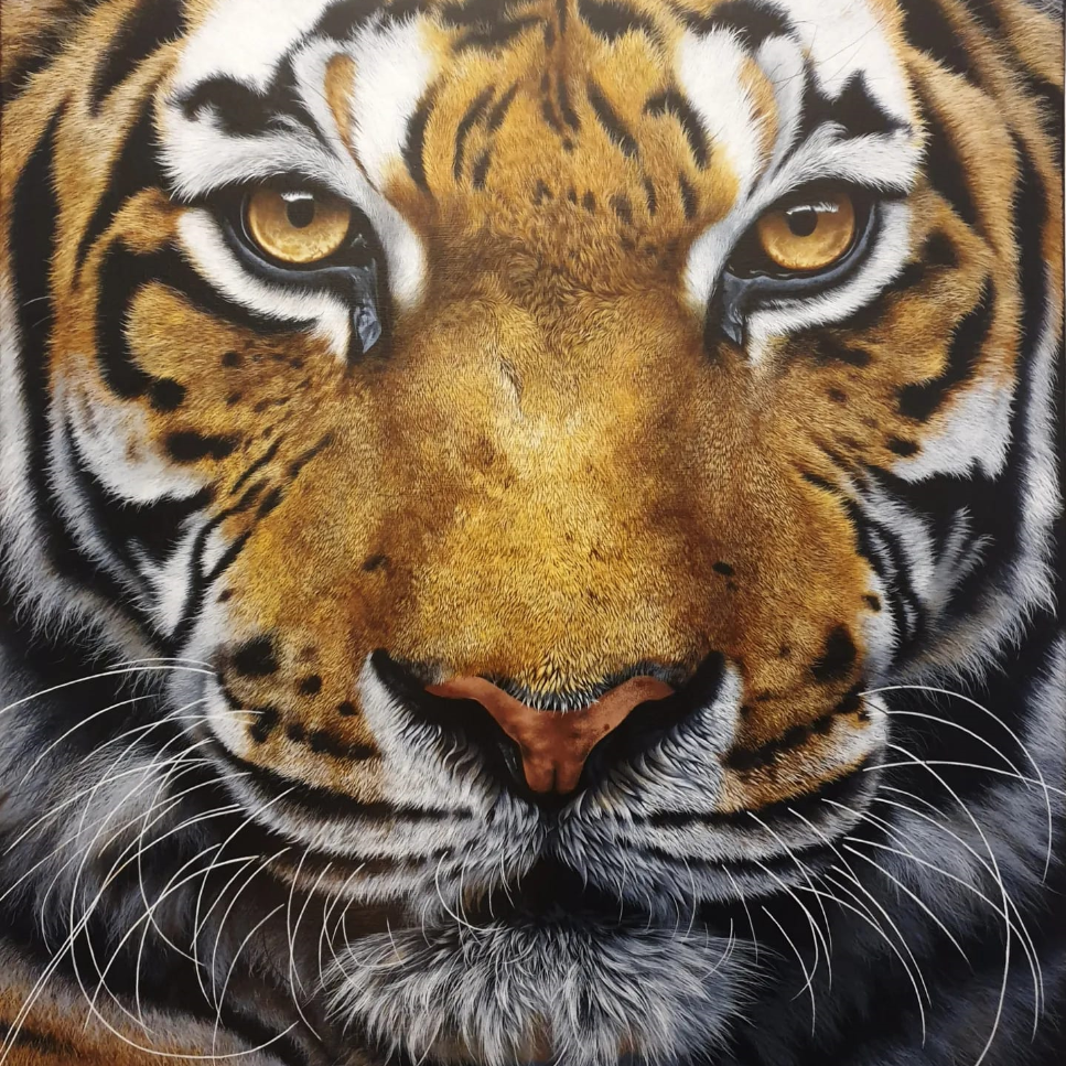 Tiger Portrait