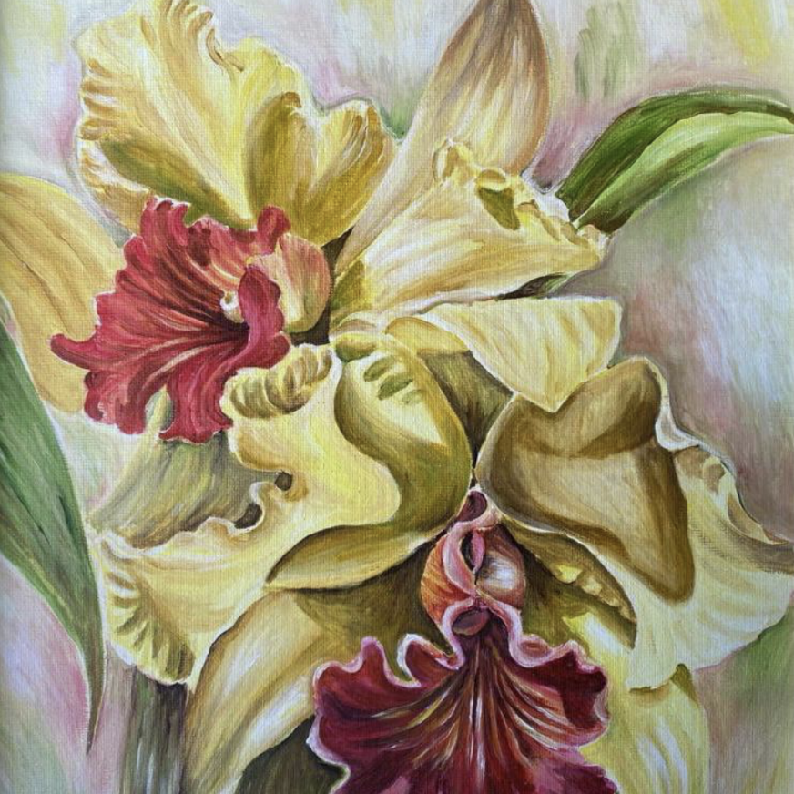 Yellow Orchids