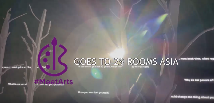 29 Rooms | Highlights