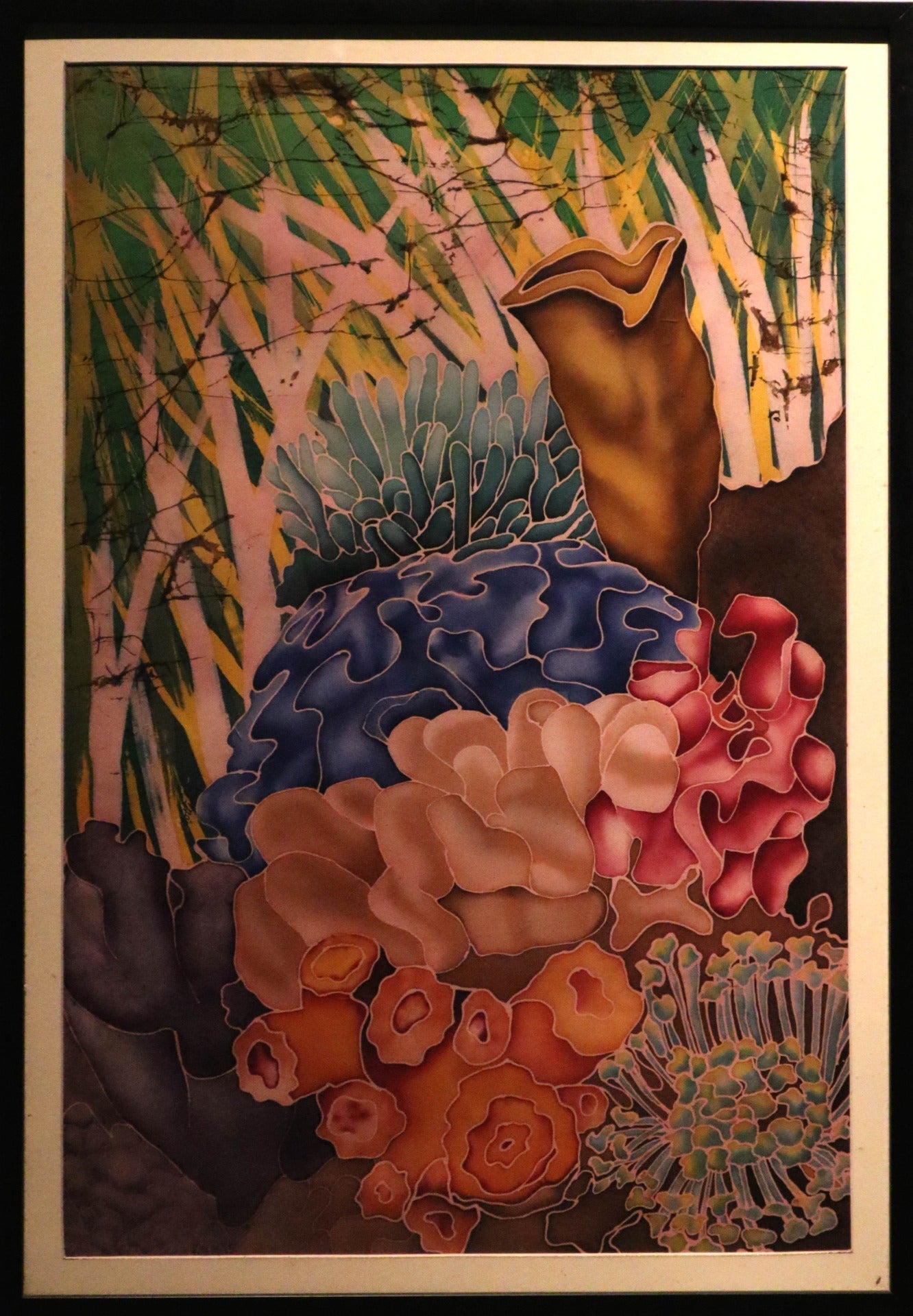 Corals