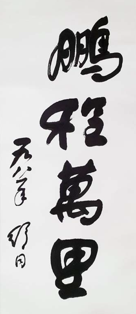 鹏程万里(2)