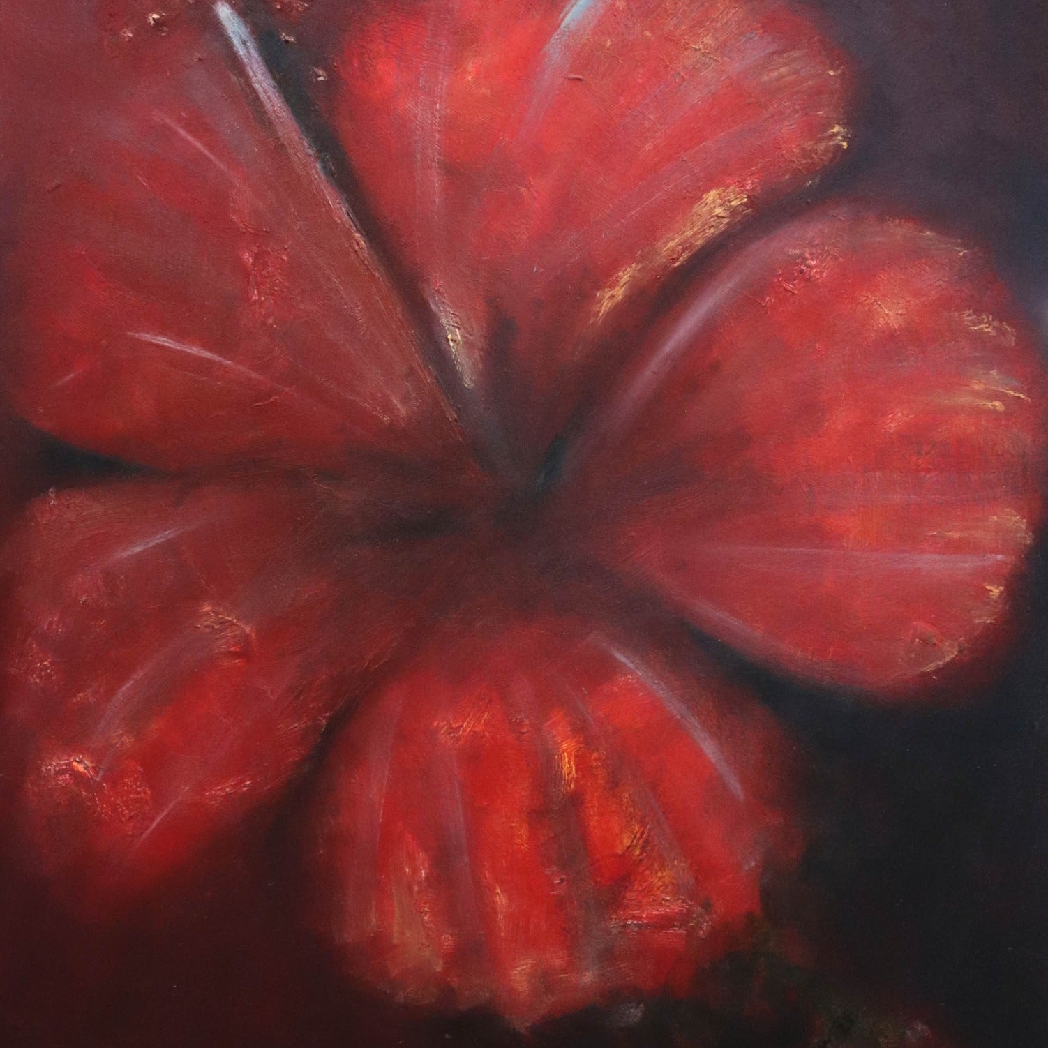 Flower Hibiscus