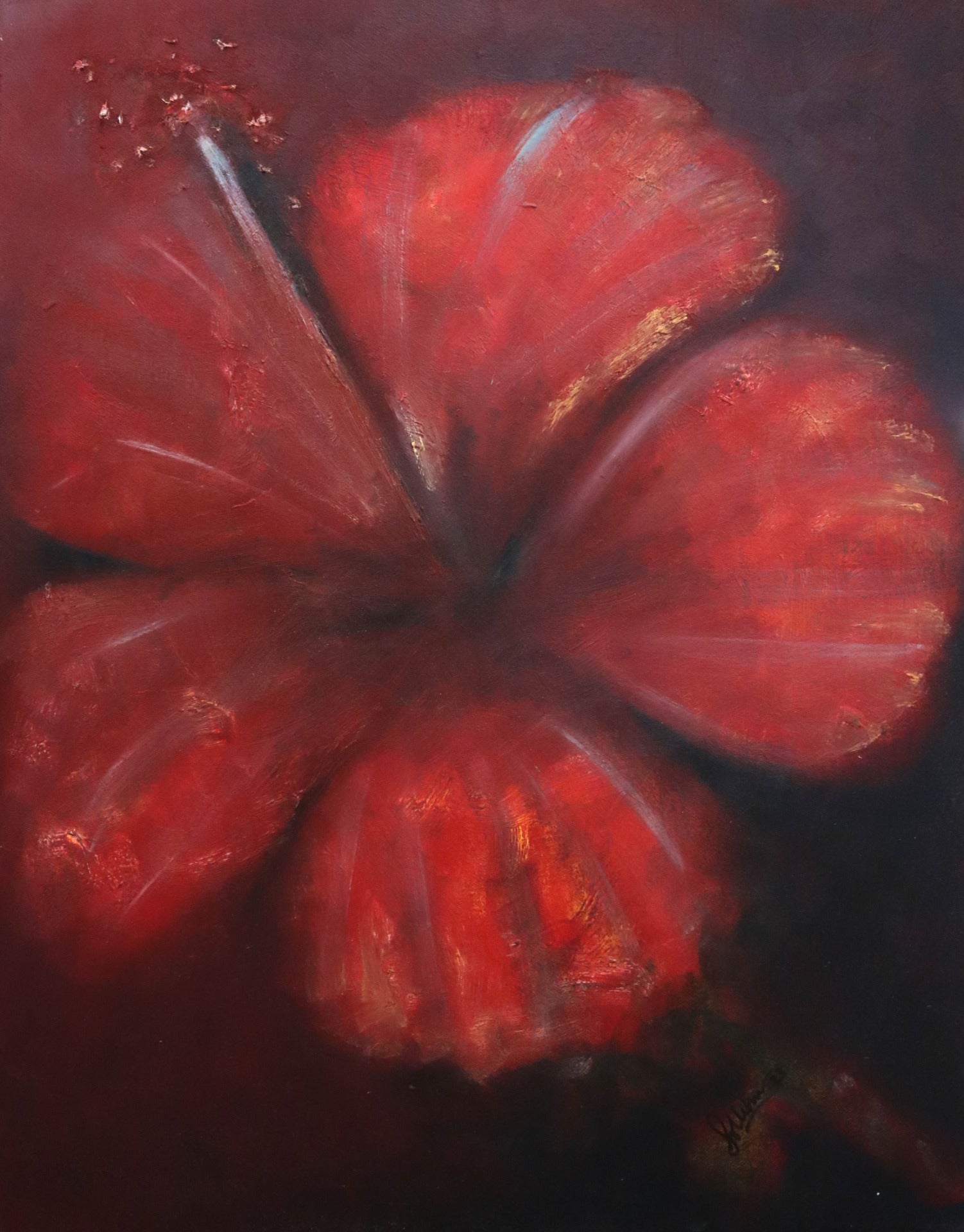 Flower Hibiscus