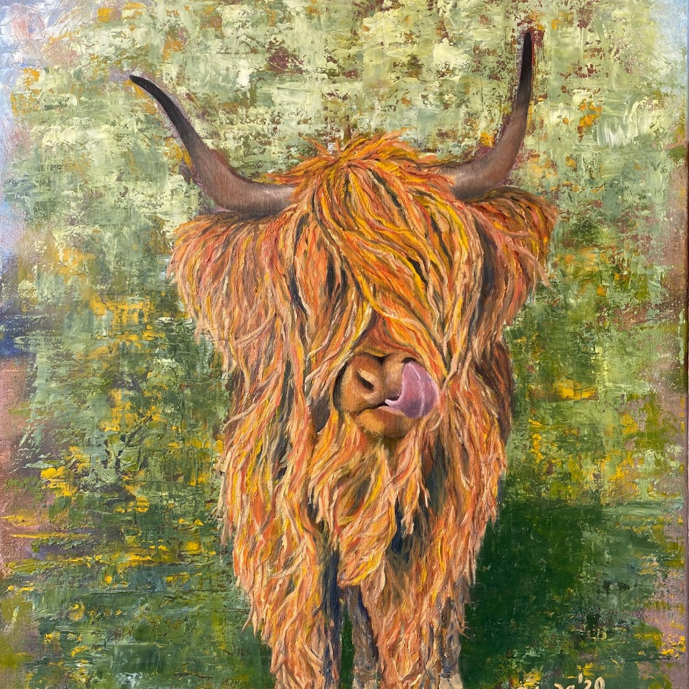 Highland Cow