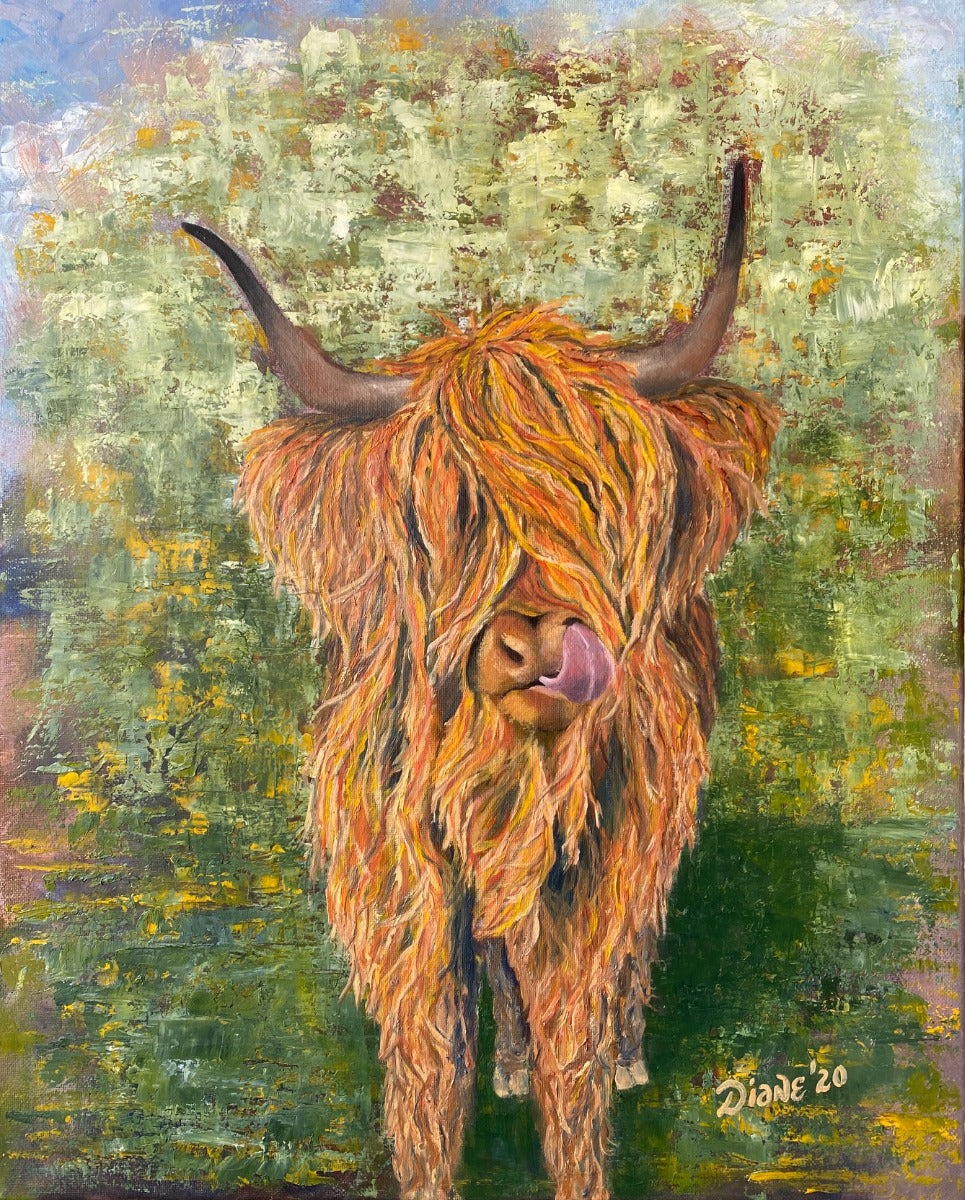 Highland Cow