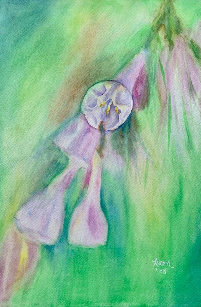 Virginia Bluebell