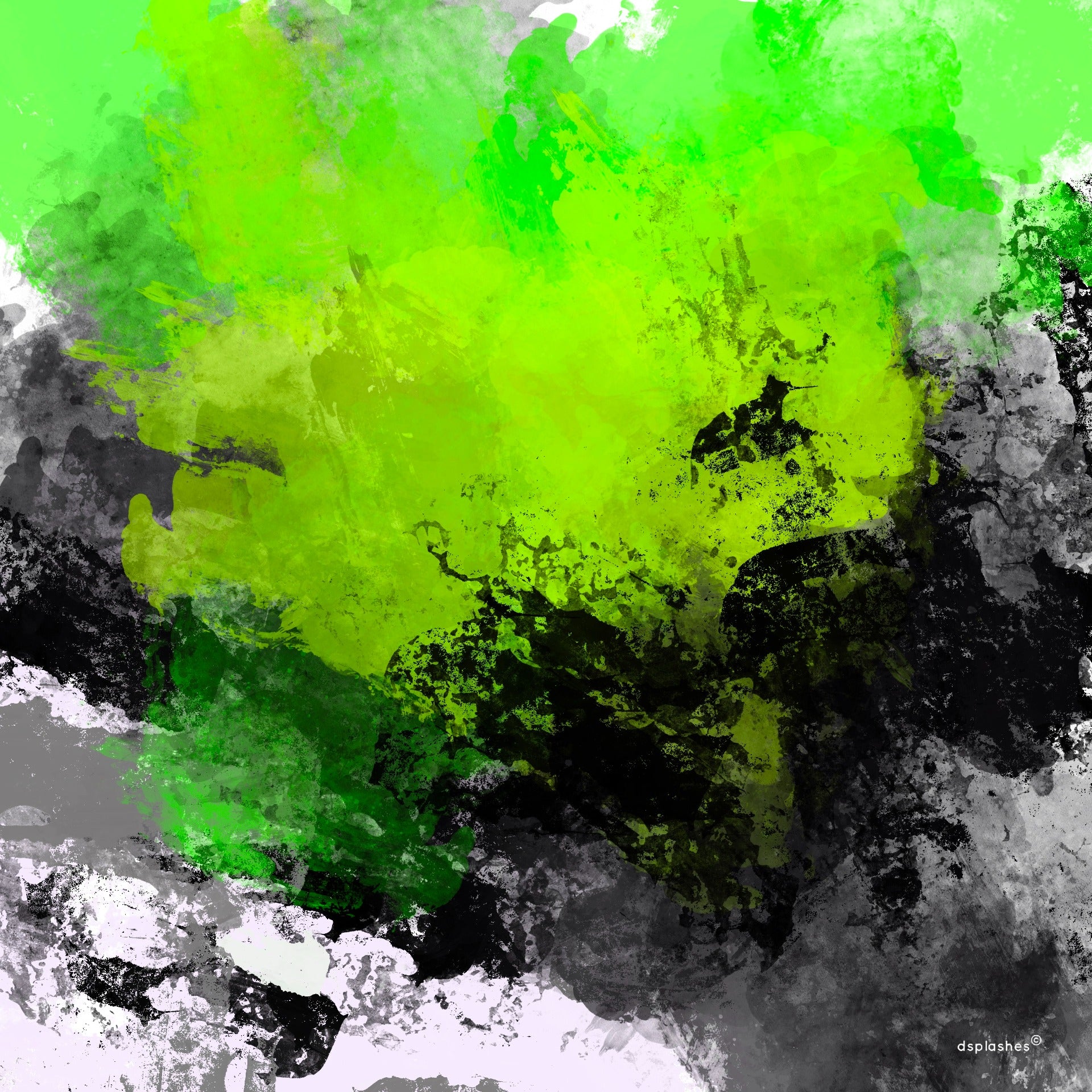 The Lime Splash