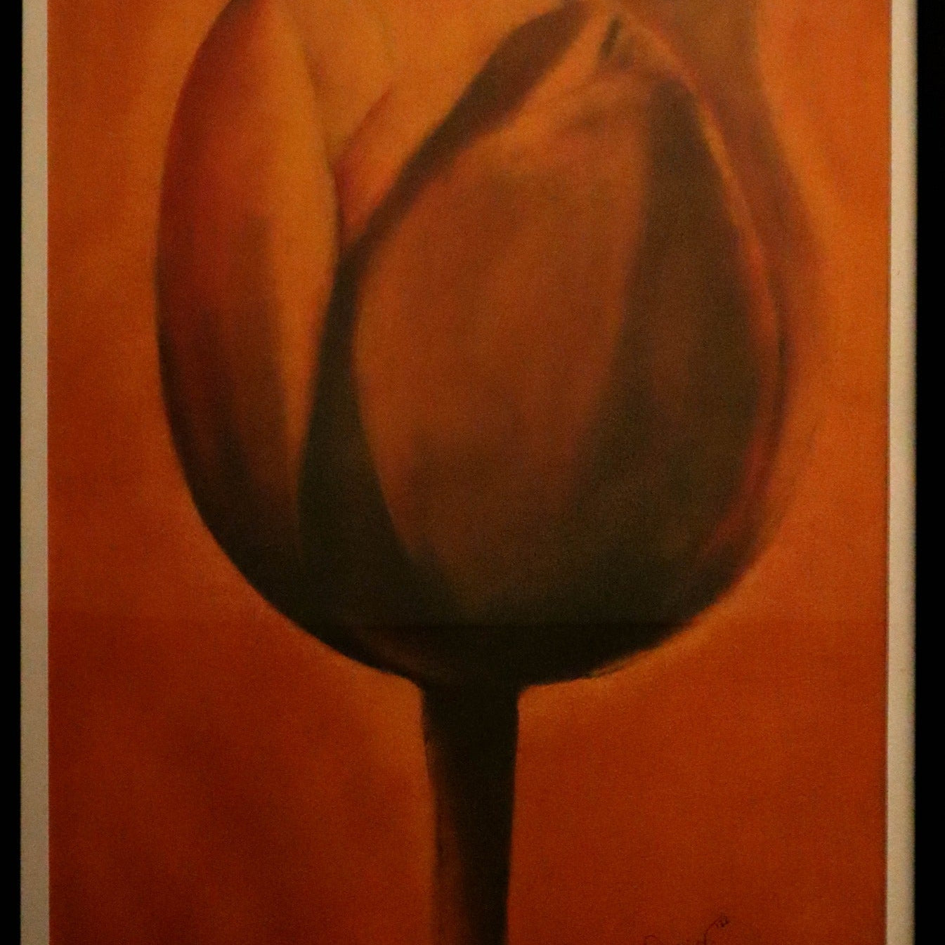 Tulip