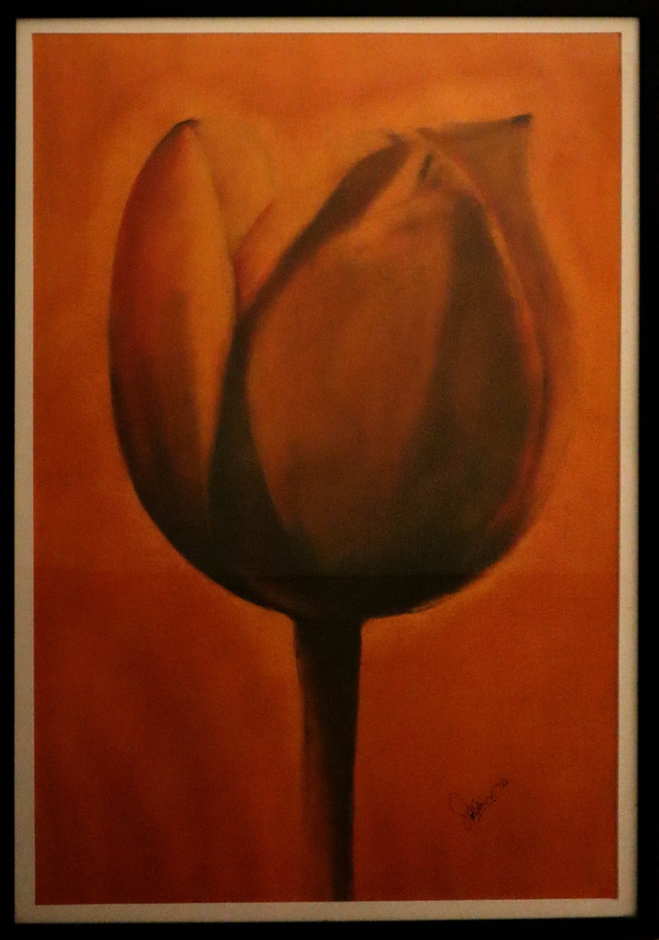 Tulip